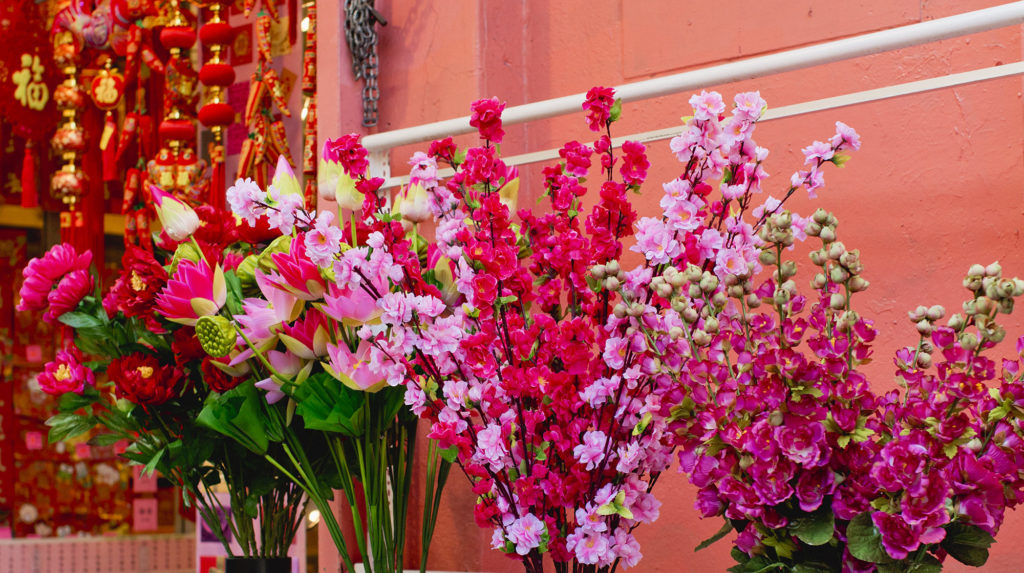 Image description: A bright pink and green display of flowers at a floral shop in San Francisco Chinatown. Red plastic lanterns hang in the background. Photo credit: Andria Lo.